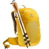 Deuter Futura 27 (Turmeric Greencurry)