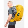 Lowe Alpine Rogue 48 (Golden Palm)
