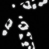 Bookman Reflective Leopard Print Stickers (White)